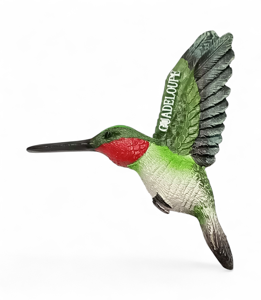 Magnet Resine Colibri