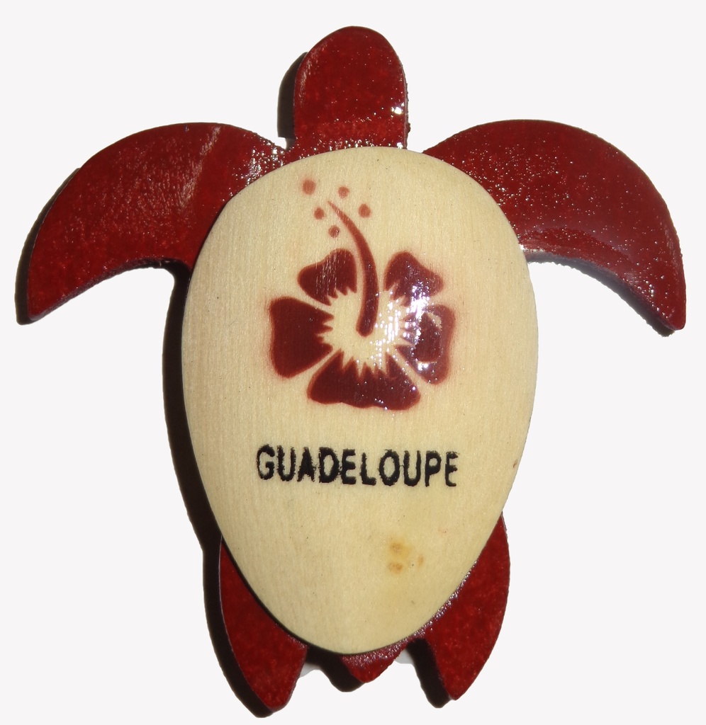 Magnet Tortue En Bois