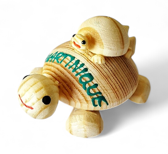 Magnet Bois Tortue+Bebe