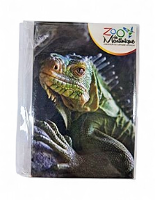 Magnet Image ZDM Iguane