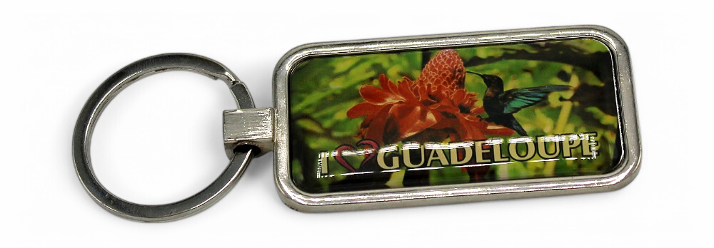 Porte-Clé Metal Rectangle Rose + Colibri