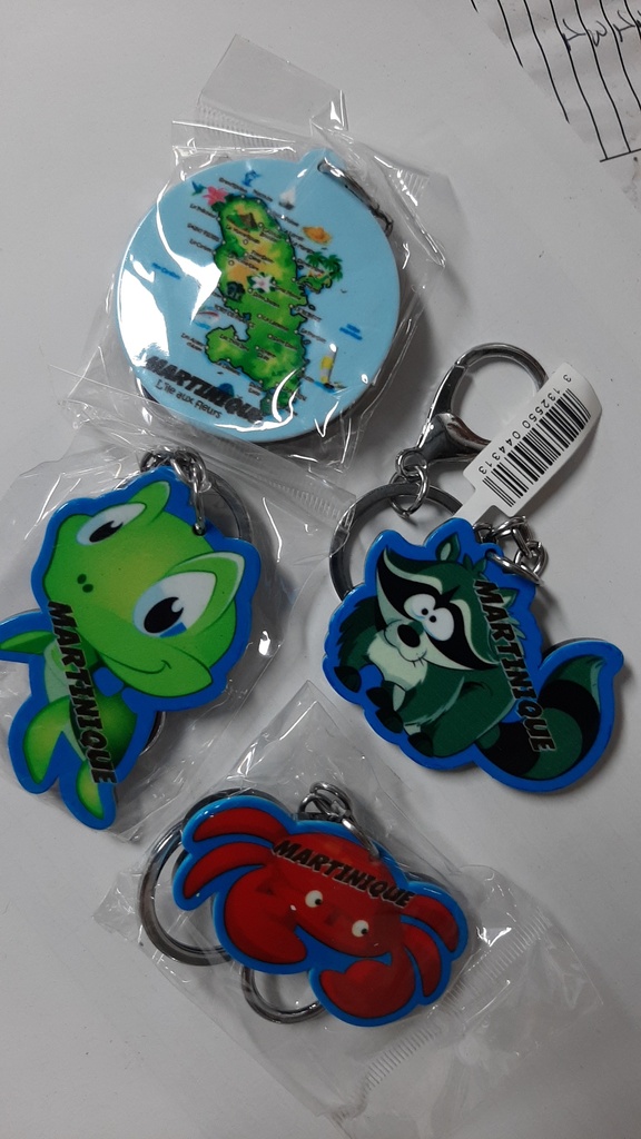 Porte-Clé  Plastique