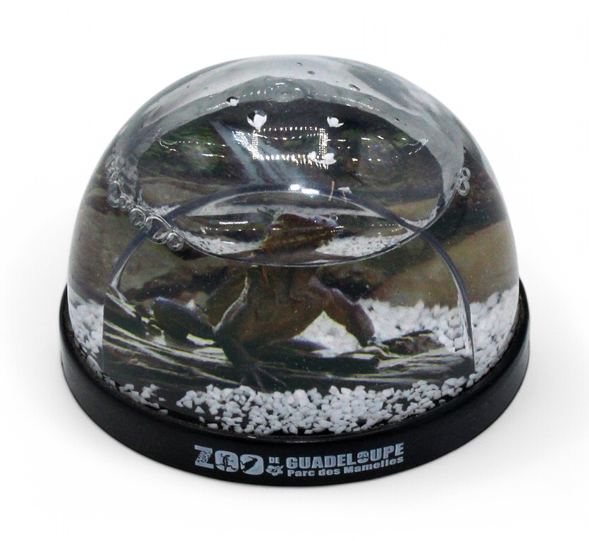 Boule A Neige Iguane PDM GP