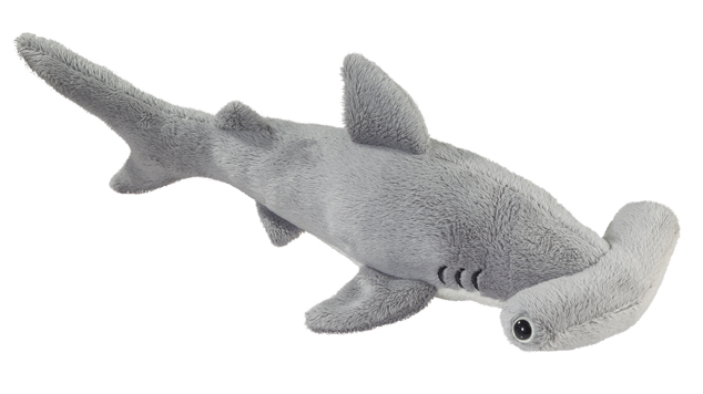 Requin Marteau Pm