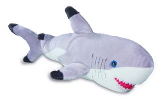 Requin Pointe Noire 60Cm