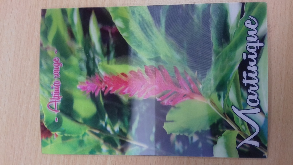 CP 10X15 MQ -  Alpinia MQCP3D05