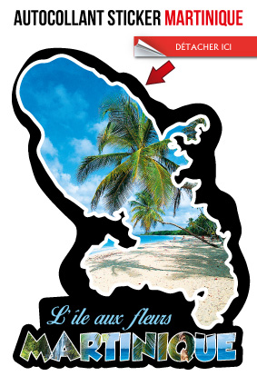 Cp Stick MQ Carte Photo Inscrut E Martinique 004