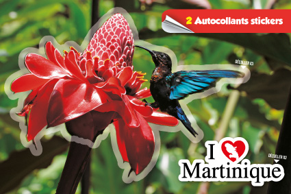 Cp Stick MQ Rose+Colibri Martinique MQ006