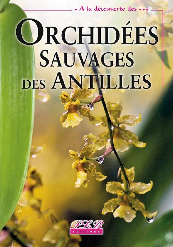 Orchidees Sauvages Des Antilles
