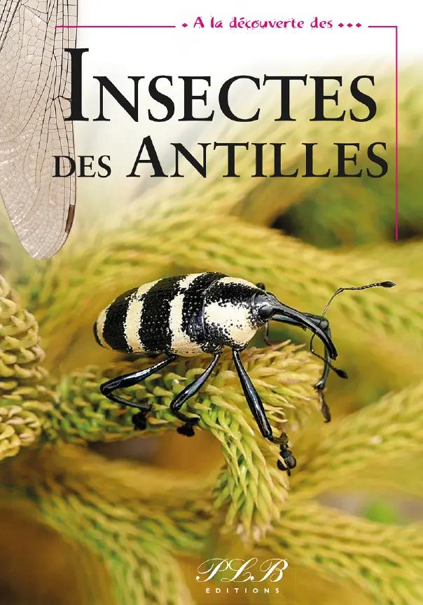 Insectes Des Antilles