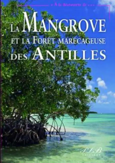 La Mangrove Et La Foret Marecageuse