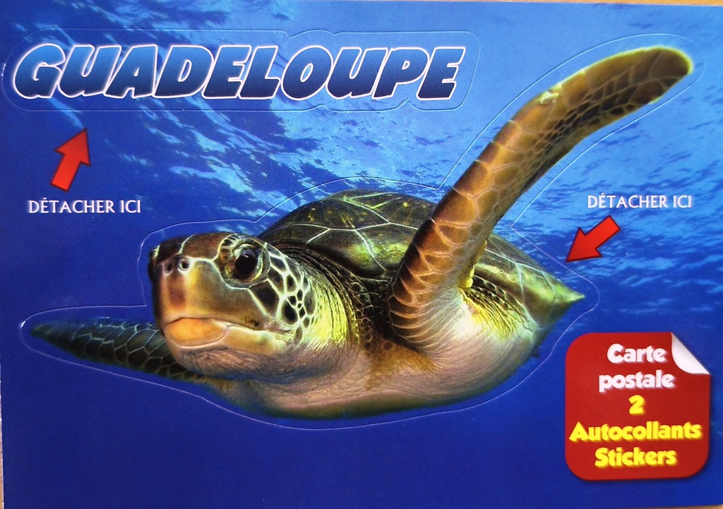 Cp 10x15 GP Sticker Tortue Marine 
