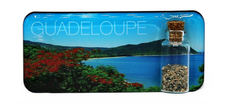 Magnet Epoxy Rectangle Avec Bouteille Grande Anse GP