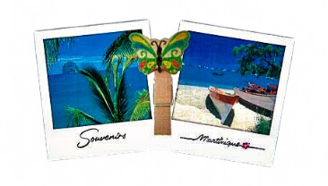 Magnet Bois 2 Photo Pince Diamant + Yoles MQ