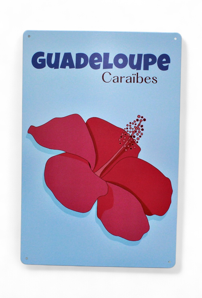 Affiche Métal 20X30 - Hibiscus