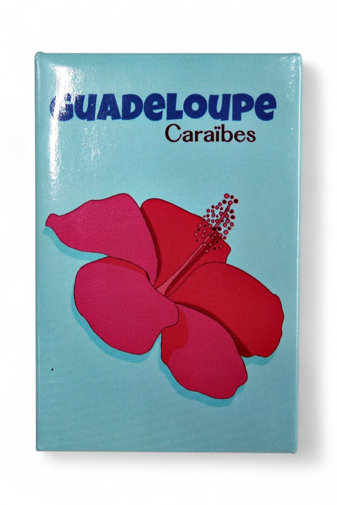 Magnet rectangle - Illustration Hibiscus