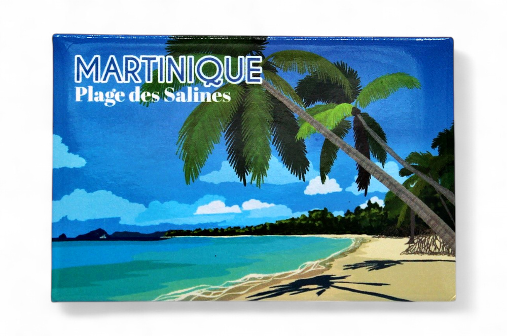 Magnet rectangle - illustration Plage des salines MQ