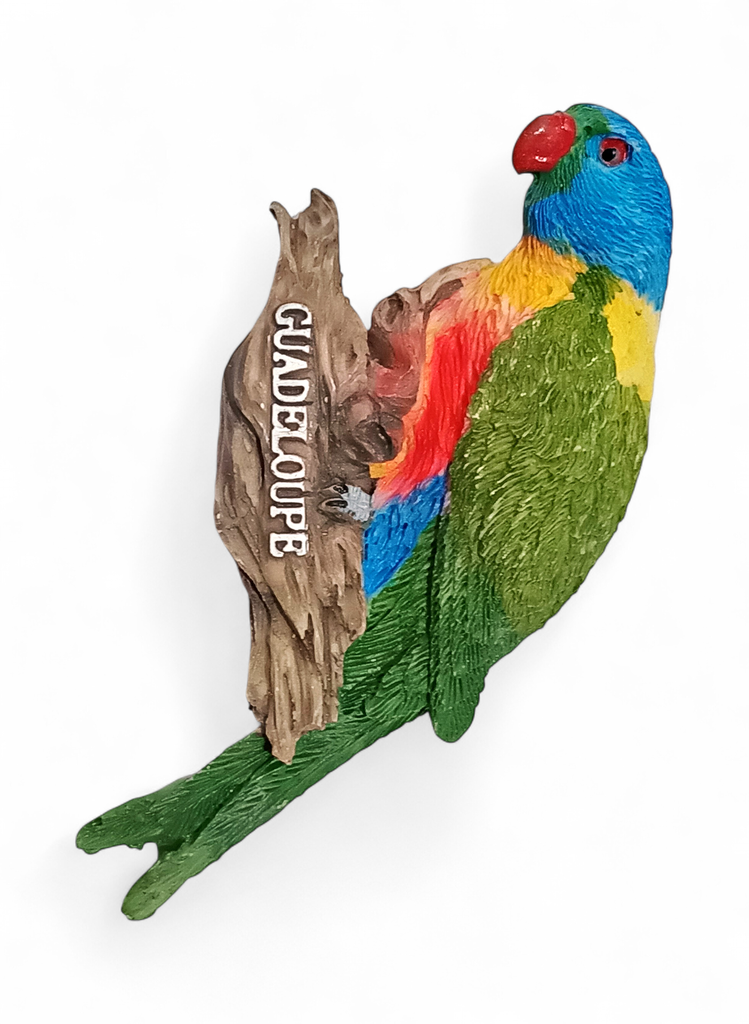 Magnet résine loriquet