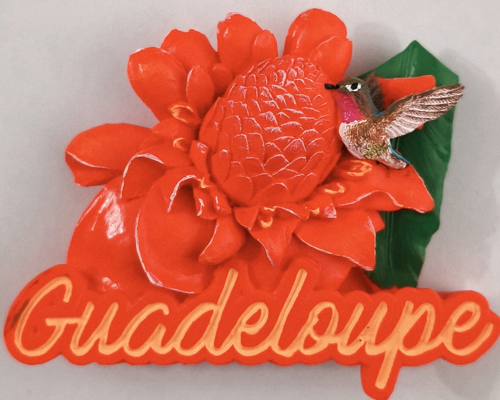 Magnet Résine - Rose de porcelaine et Colibri Version 2