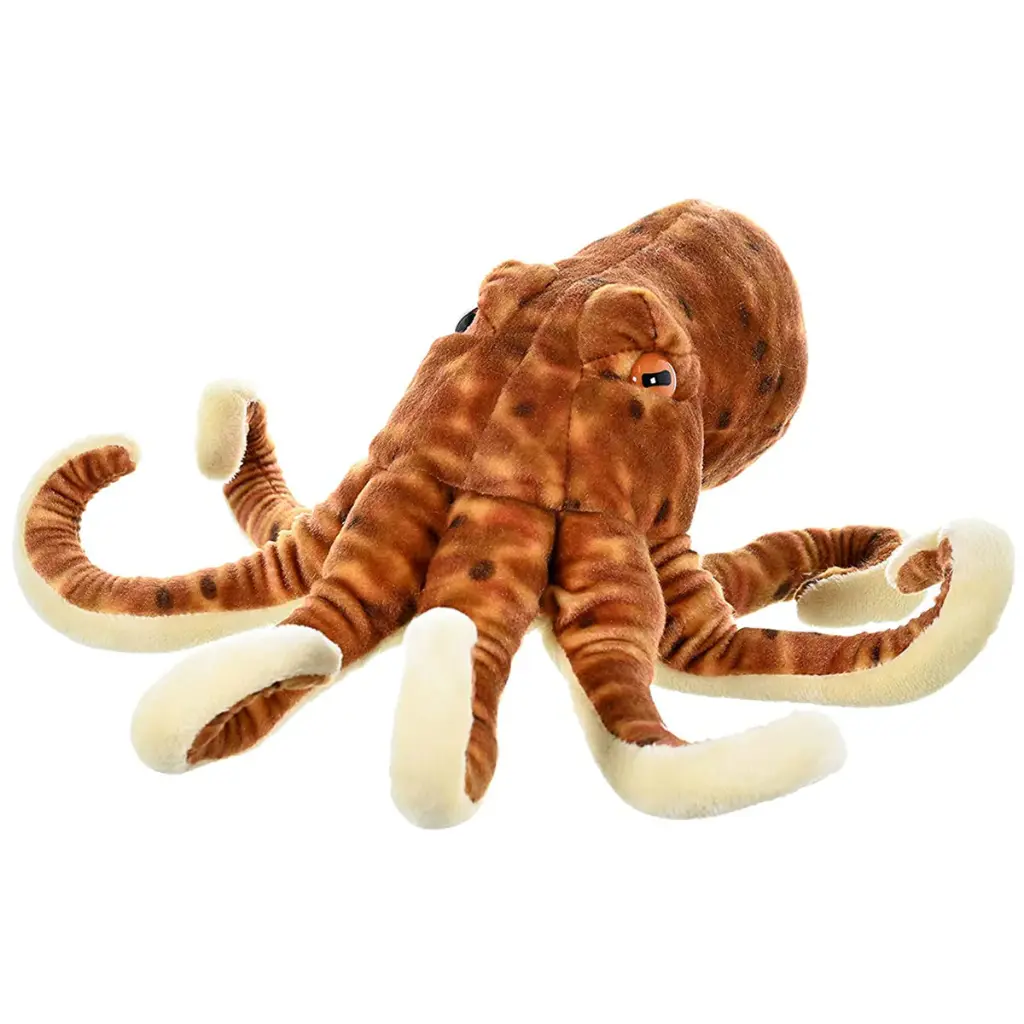CK Octopus 