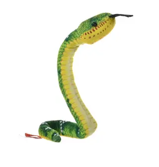 Coilinks emerald tree Boa