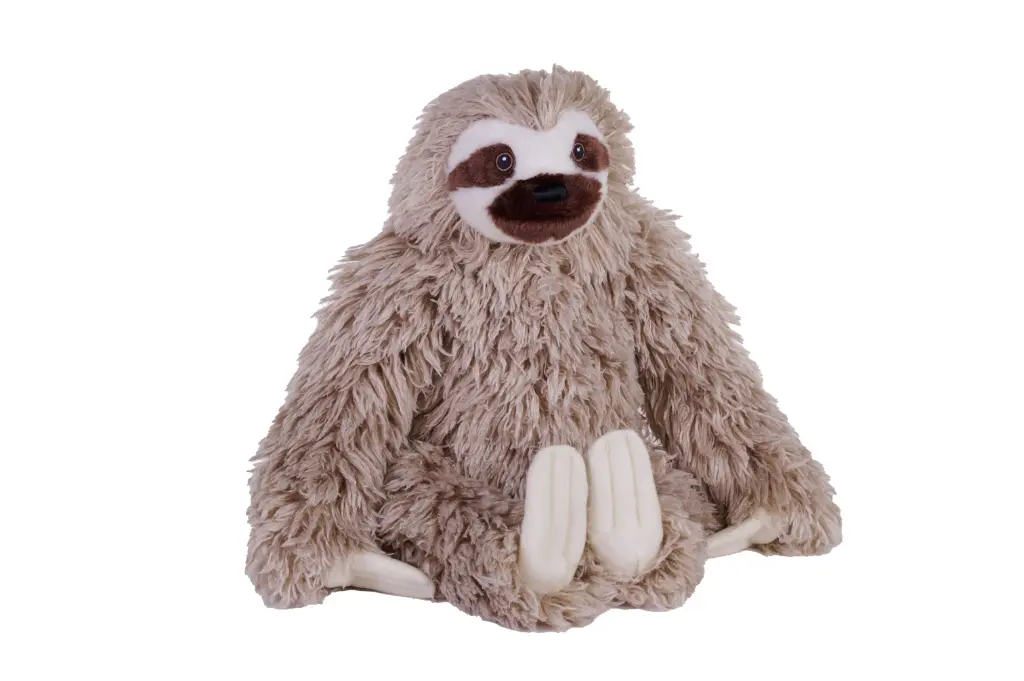 Ck eco three toed Sloth